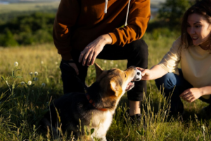 Through the Leash is Your Dog Training Resource